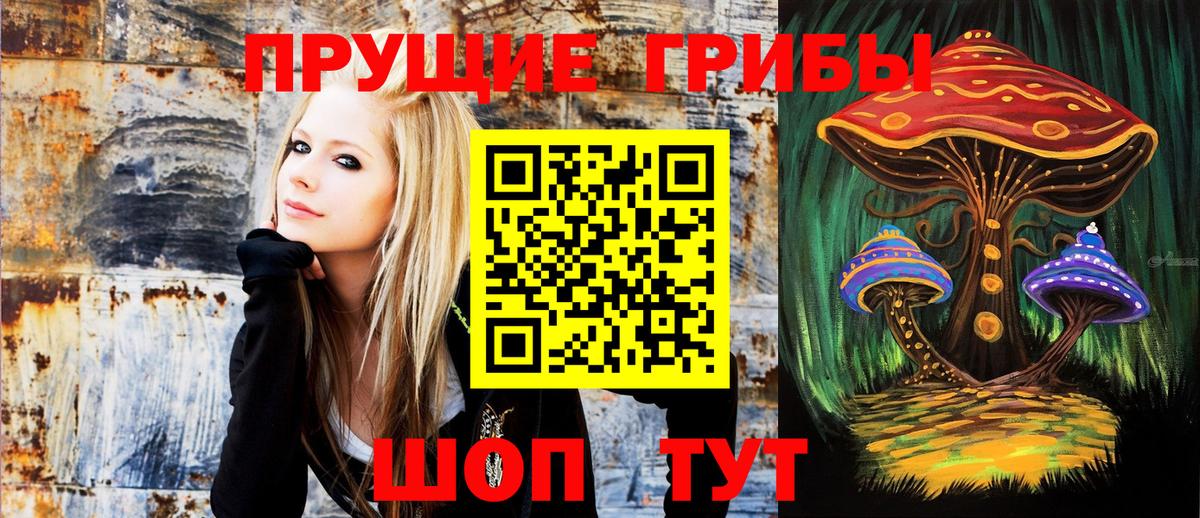 Михайловск  Псилоцибиновые грибы MAGIC MUSHROOMS  Вход с VPN 